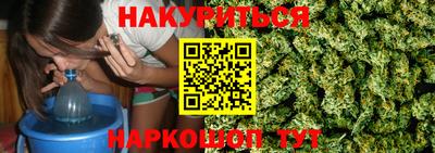 крисы Моздок