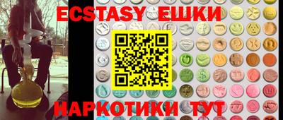 крисы Моздок