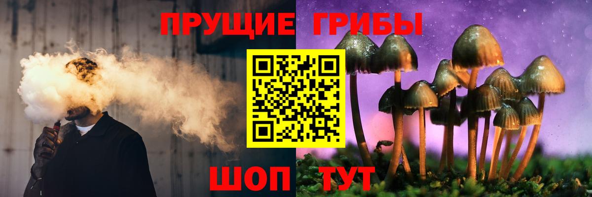 наркотики  Вход с VPN  Новомосковск  Псилоцибиновые грибы ЛСД 
